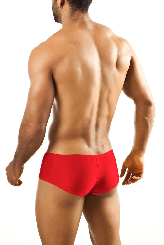 Boxer Bul 03