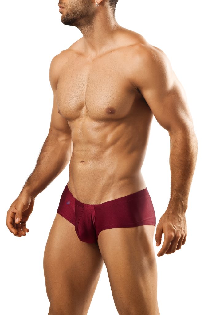 Boxer Bul 03