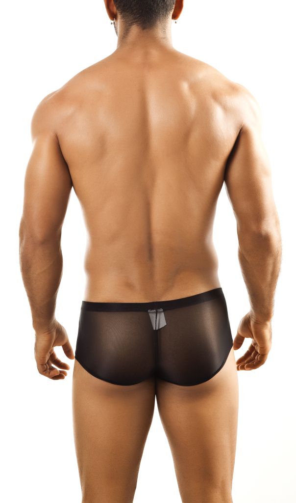 Boxer Bul 03