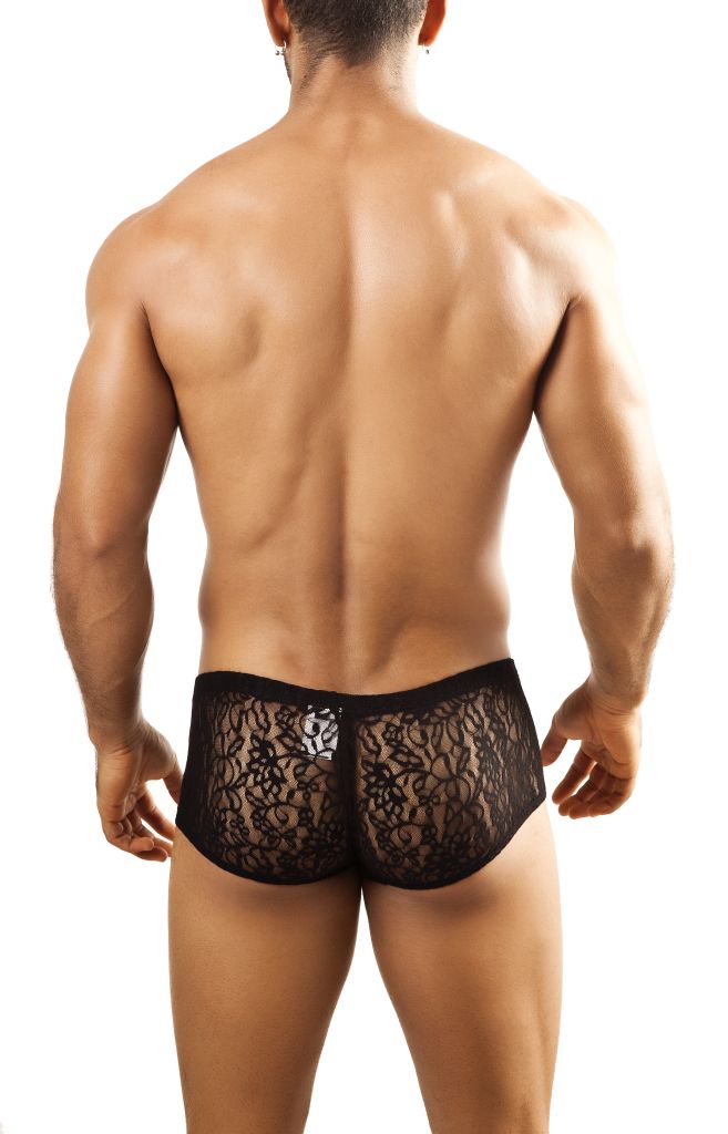 Boxer Bul 03
