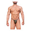 Joe Snyder Kini 12 Men's Bikini