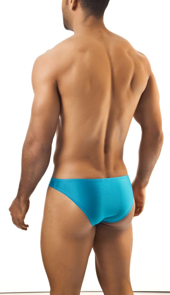 Joe Snyder Men's Bikini 01