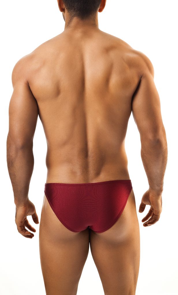 Joe Snyder Men's Bikini 01