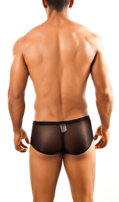 Boxer Bul 03